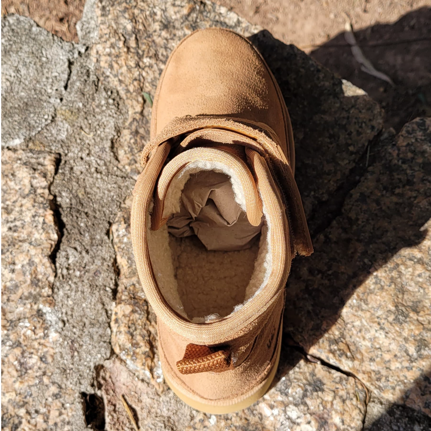 Bota Ursa&Touro